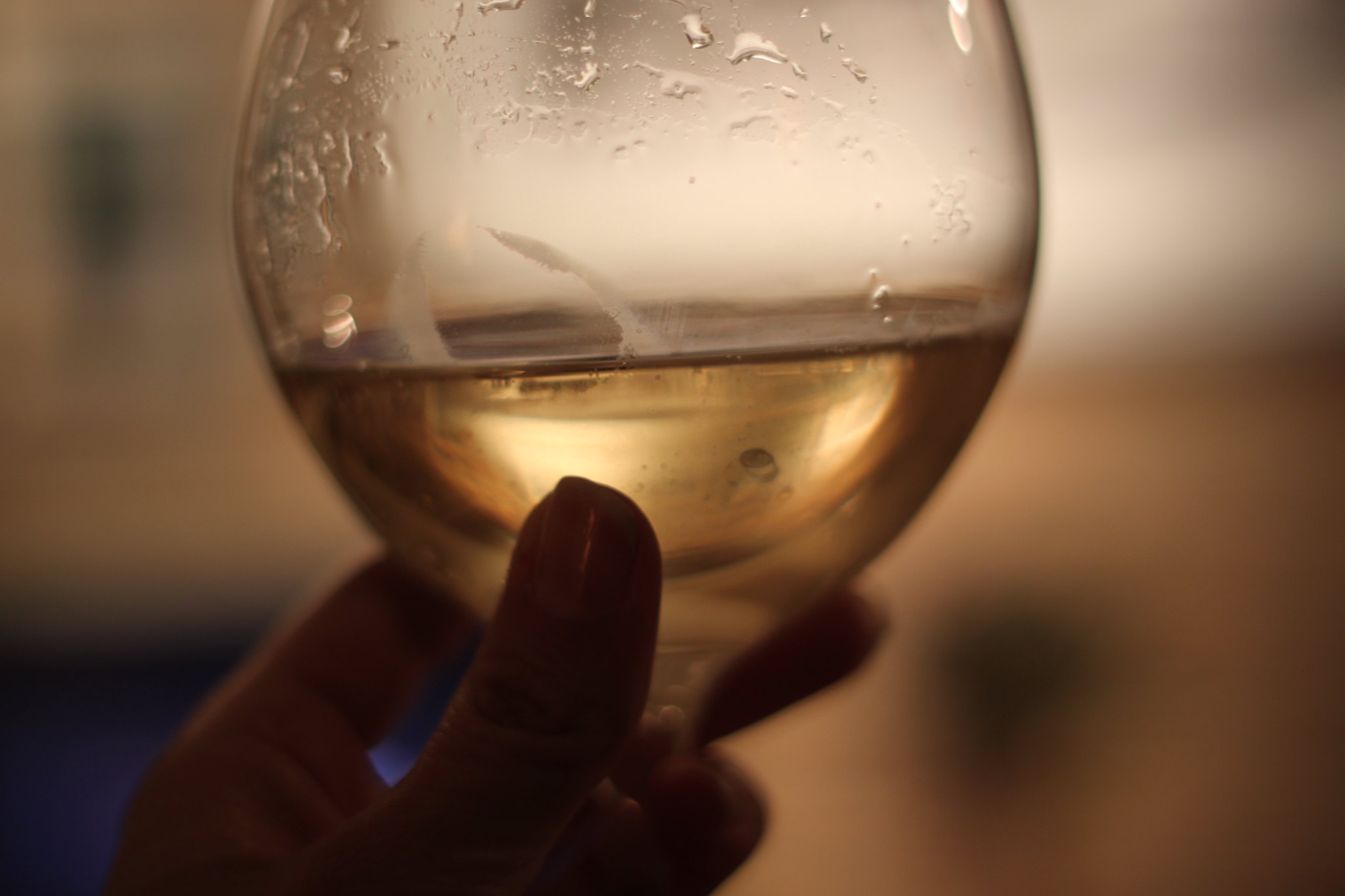 Graves de Vayres Blanc - Vin Blanc - Photo de alison fayre - 101Pairing.com
