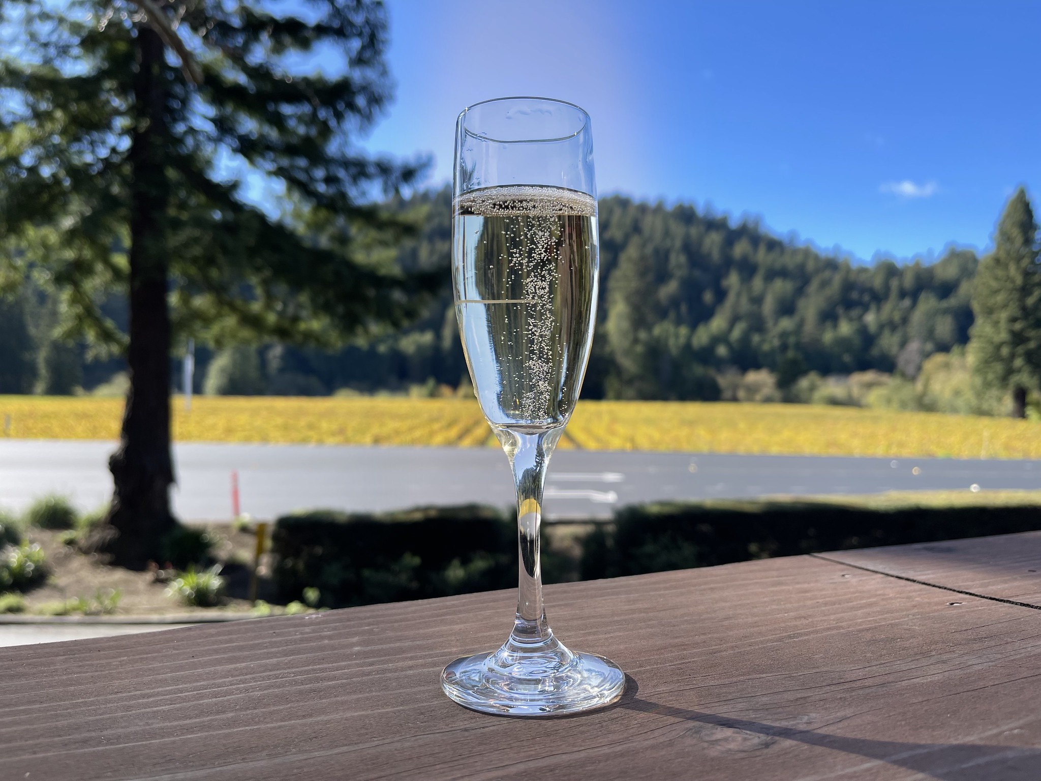 Champagne Blanc Grand cru Blanc de noirs Brut - Vin Blanc - Photo de Sarah Stierch - 101Pairing.com