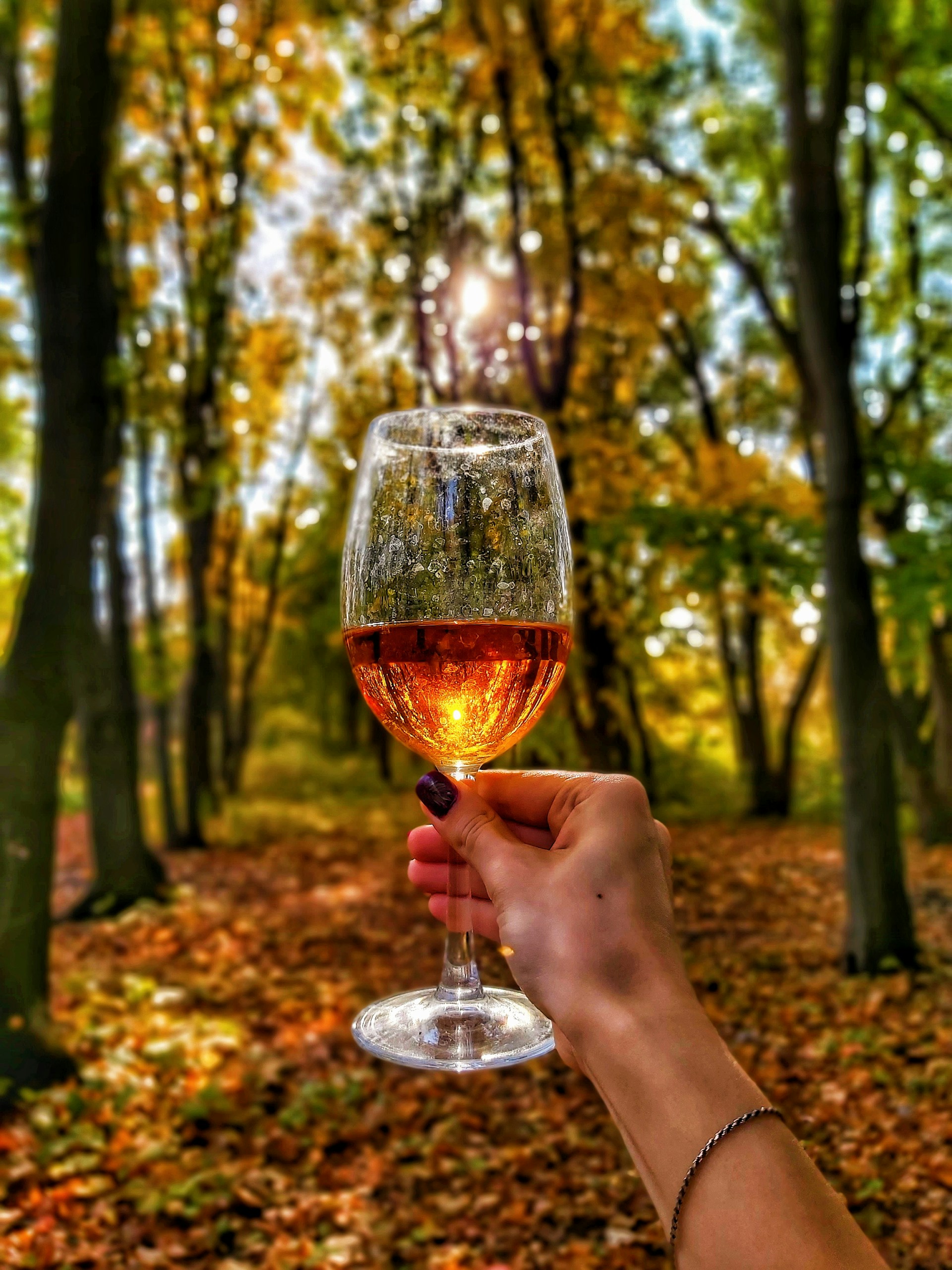 Côtes de Bordeaux Blanc Sainte-Foy Liquoreux - Vin Blanc - Photo de Евгения Пивоварова - 101Pairing.com