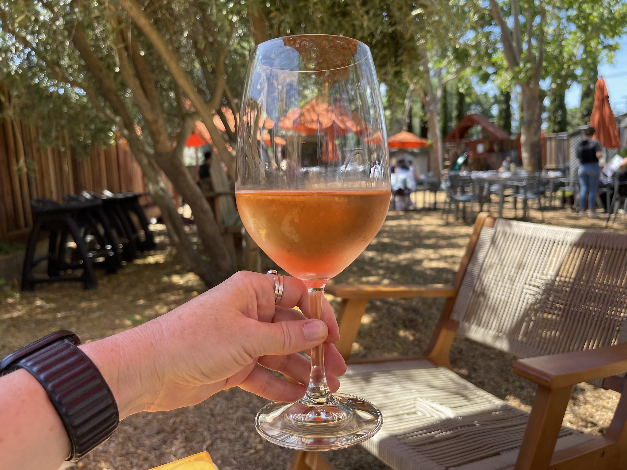 Rosé de Loire Rosé - Vin Rosé - Photo de Sarah Stierch - 101Pairing.com