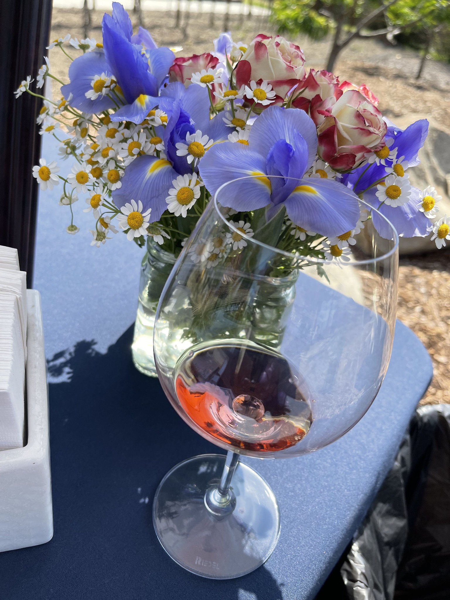 Gigondas Rosé - Vin Rosé - Photo de Sarah Stierch - 101Pairing.com