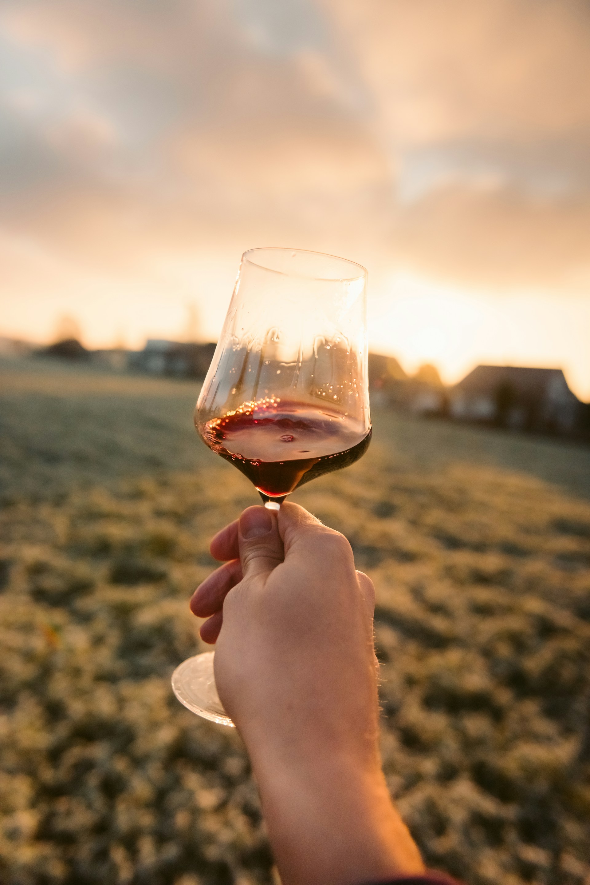 Côtes de Bordeaux Rouge - Vin Rouge - Photo de Marcel Gross | @marcelgross.ch - 101Pairing.com