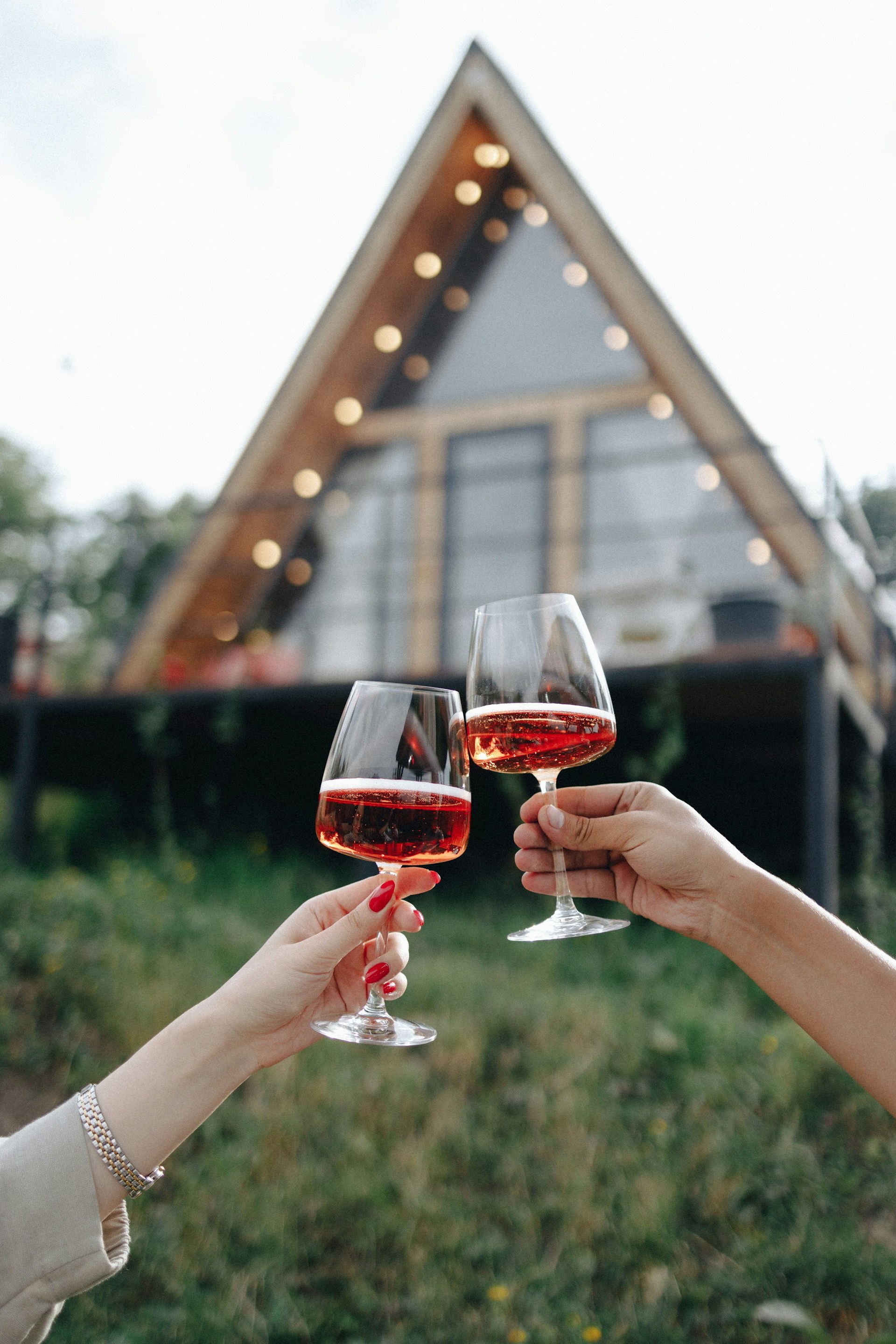 Languedoc Rouge      Primeur - Vin Rouge - Photo de Katie Azi - 101Pairing.com
