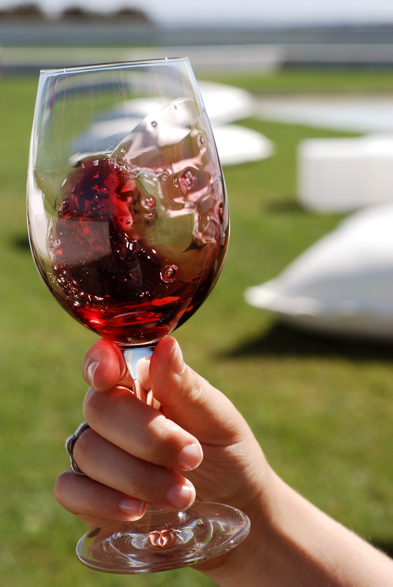 Rully Rouge Premier cru - Vin Rouge - Photo de João Trindade - 101Pairing.com