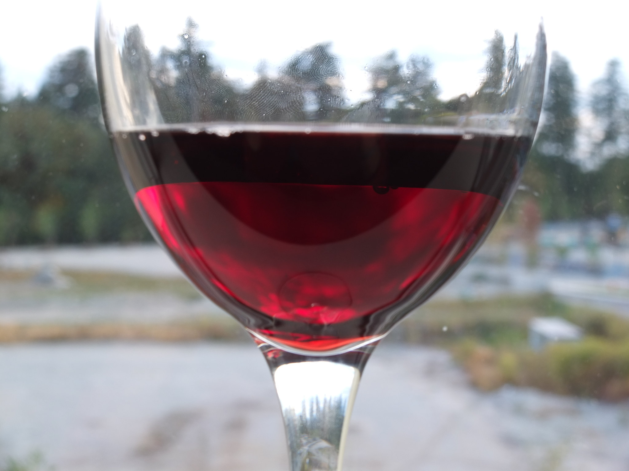 Ventoux Rouge Primeur - Vin Rouge - Photo de Christina Hendricks - 101Pairing.com