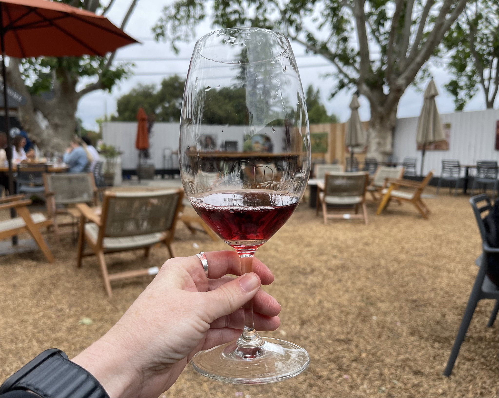 Côtes du Rhône Villages Rouge Sablet - Vin Rouge - Photo de Sarah Stierch - 101Pairing.com